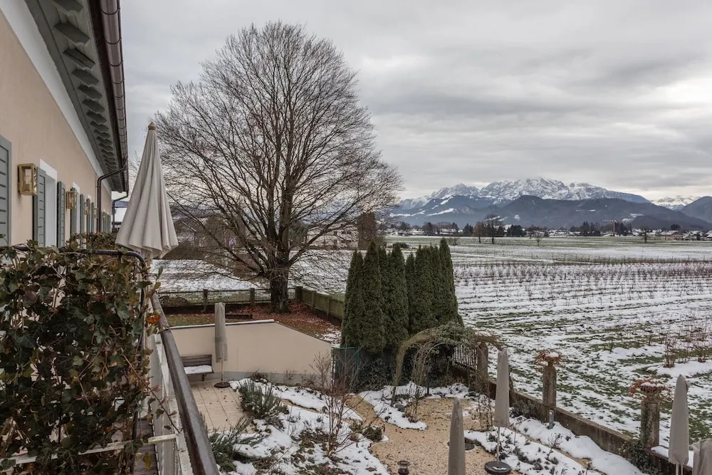 Numa Salzburg Ivy