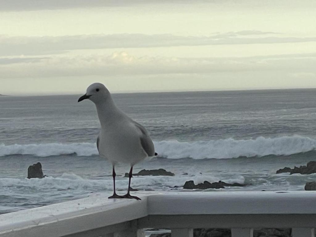 Footprints in Kleinmond