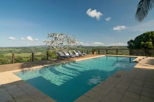 Cedia at Byron Bay Hinterland