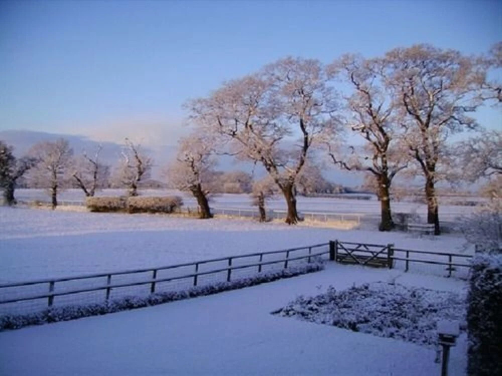 Cotton Farm