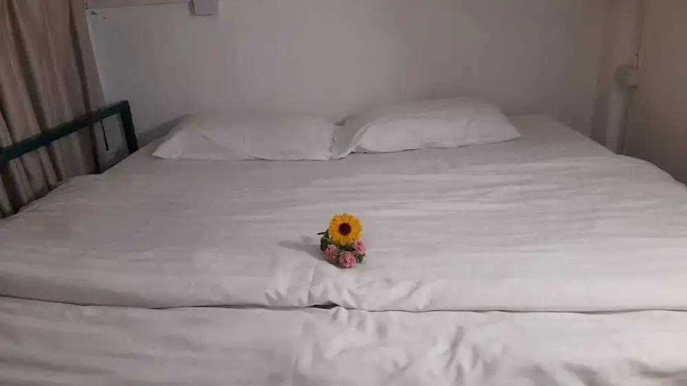 TT Hostel