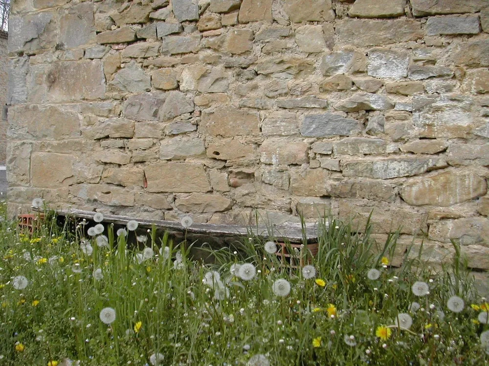 Domaine De Luzenac