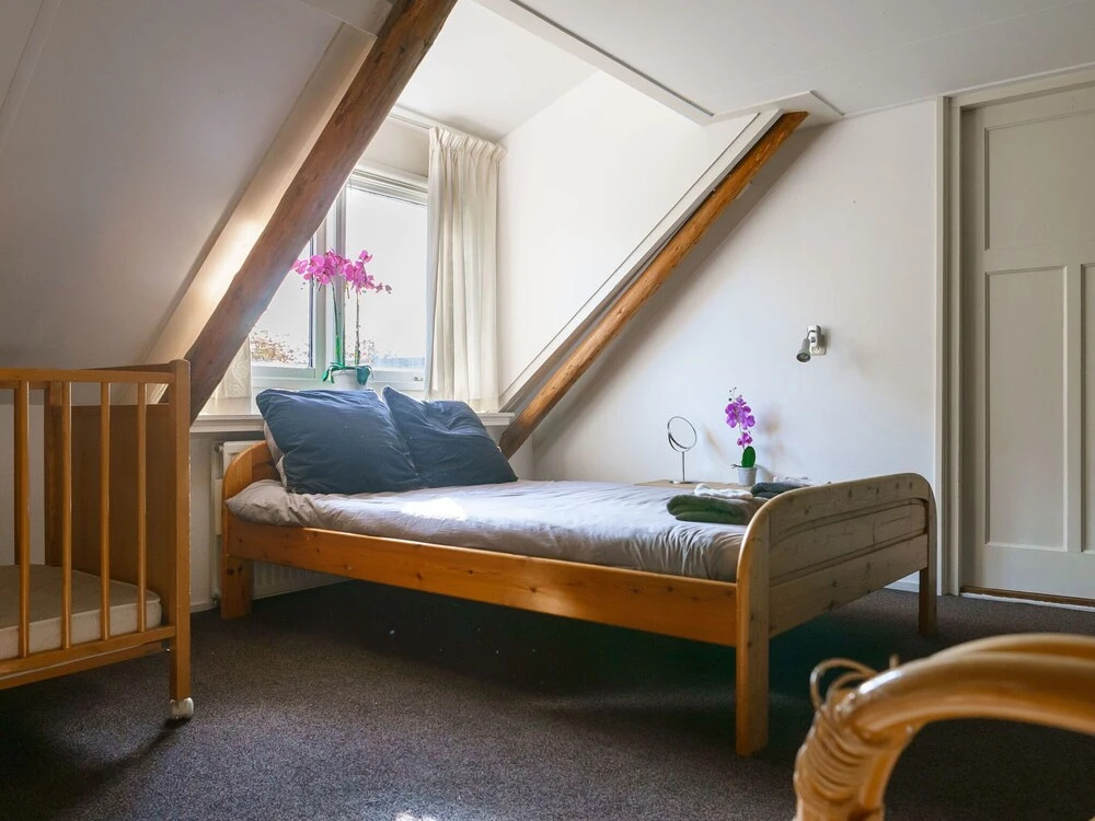 Detached Atmospheric Farmhouse with Large Garden & Privacy near Dalfsen
