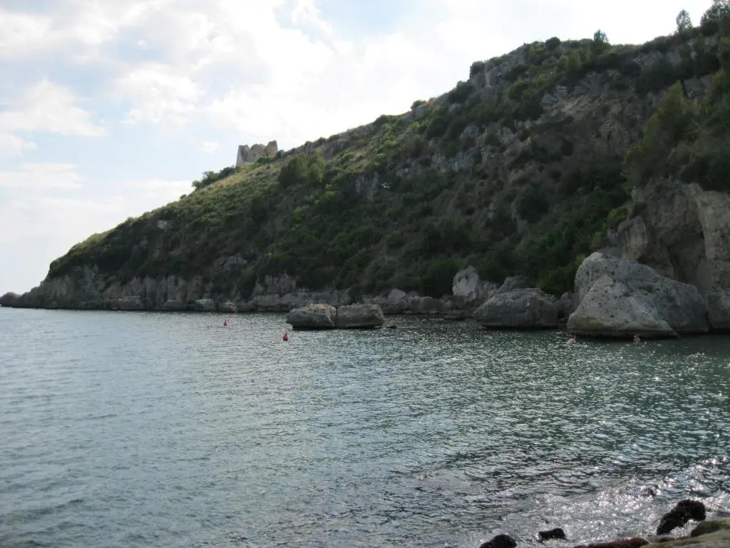 "Il nespolo"