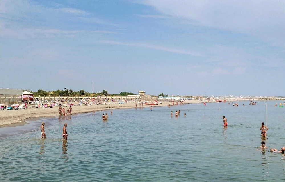 Carustica