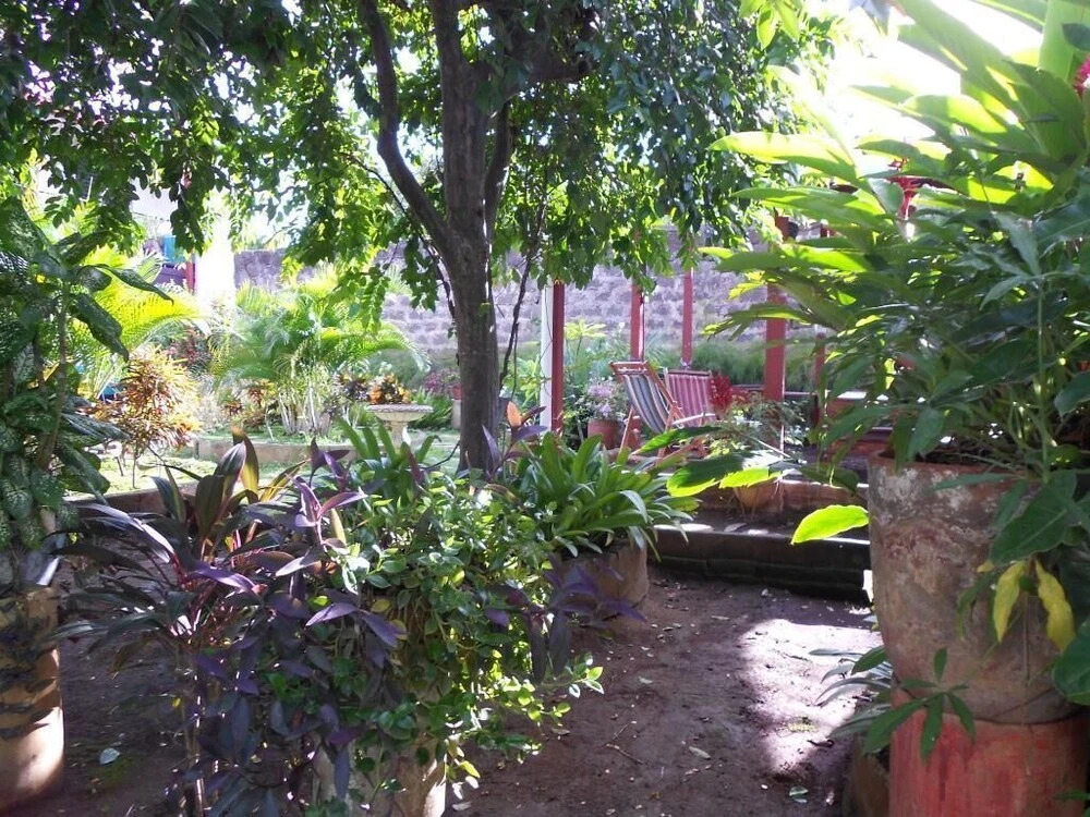 Hostal Harvest House