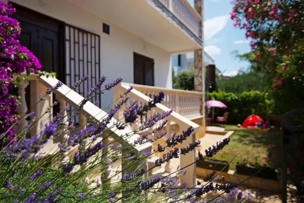 Apartments Petrčane Welcome