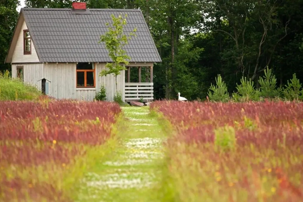 Viesu māja "Ozoliņi"