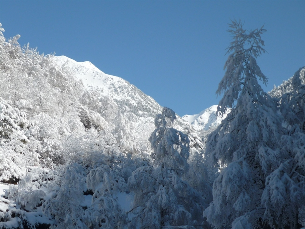 Apartaments La Neu-Mountain Lodges & Restaurant