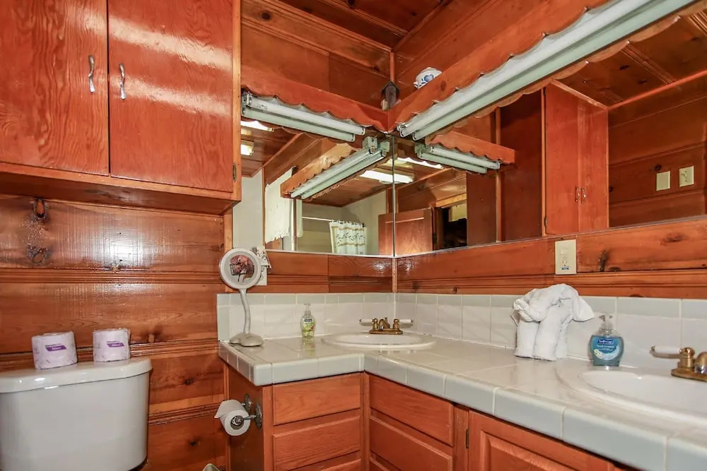 Pine Forest Cabin