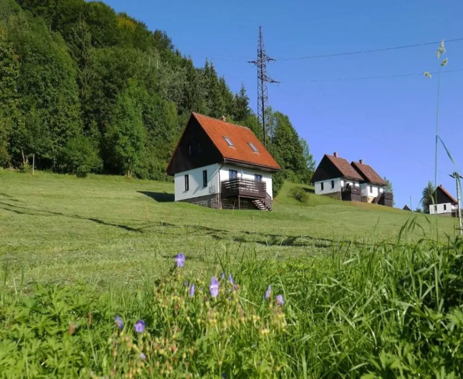 Serene Mansion With Pool