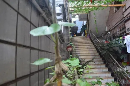 Zhu Yin Youth Hostel