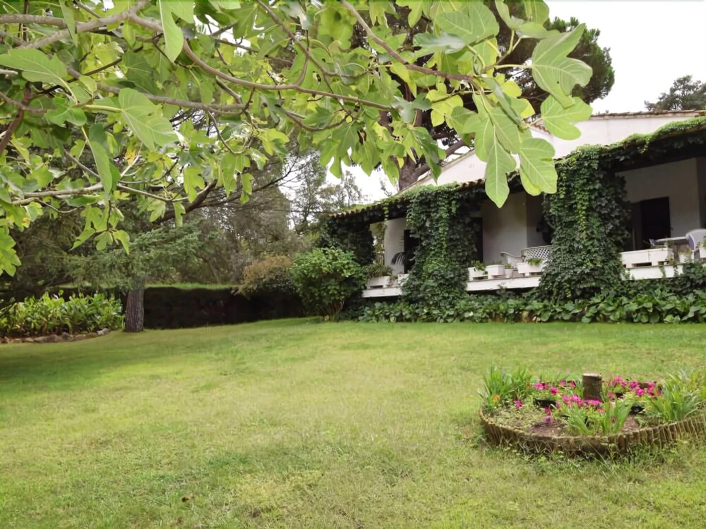 Villa Calma