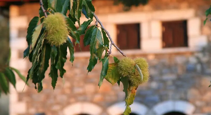 Arhontiko Parnona