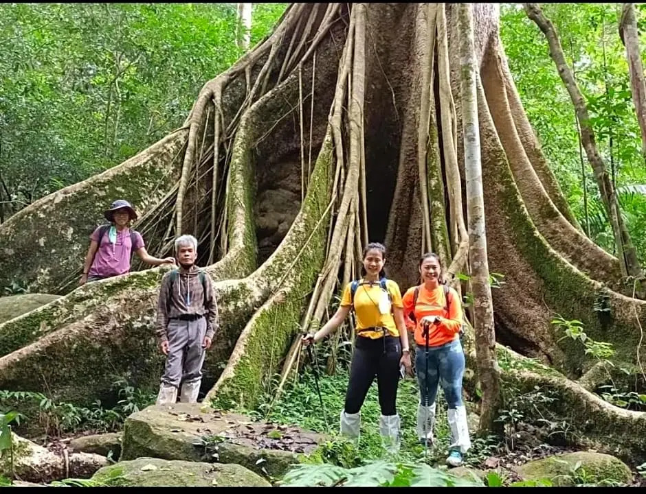 Pakchong hostel & wildlife tour