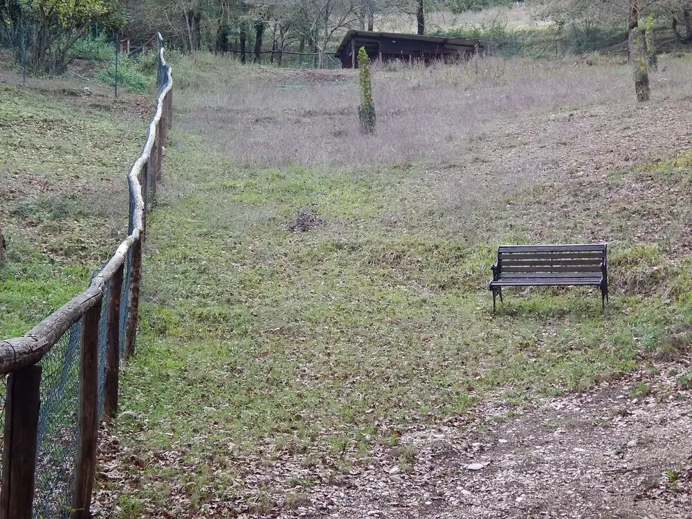 Agriturismo La Selva