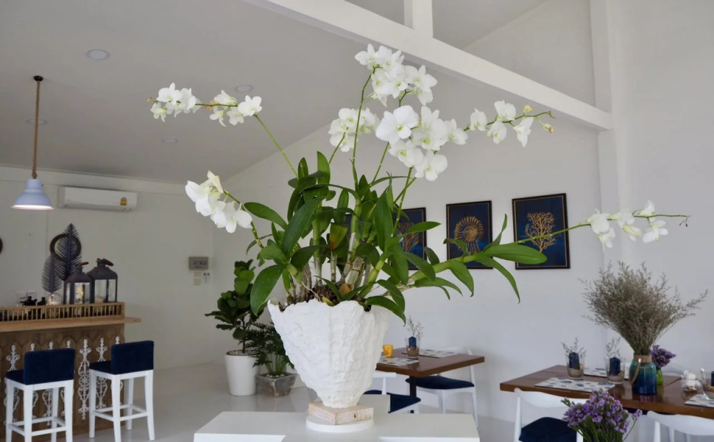 Purin Resort & Restaurant- SHA Plus