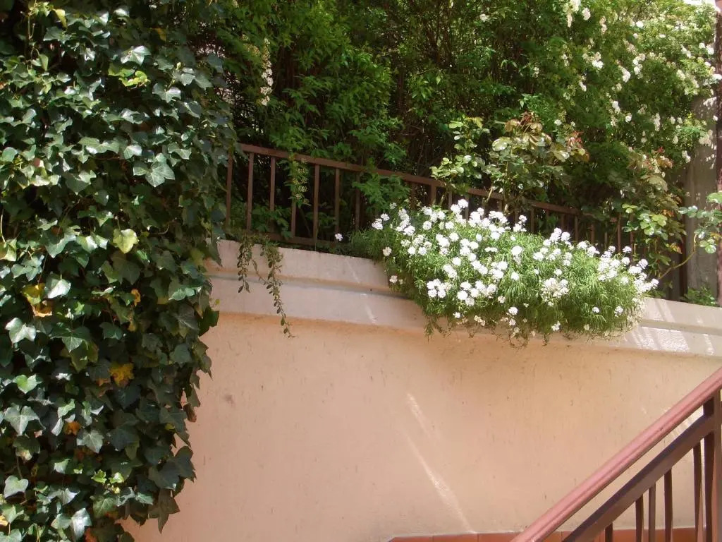 Affittacamere Ristorante Fiorelli