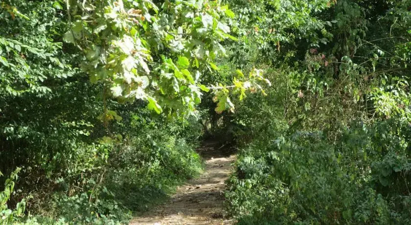 Domaine de Montmorillon