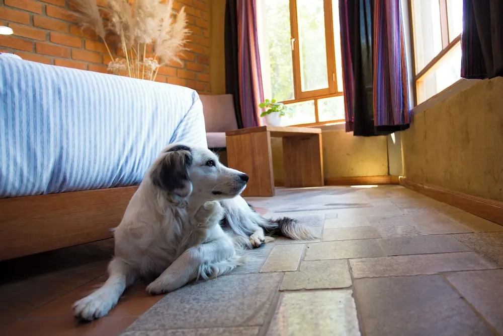 Fleur Lodge