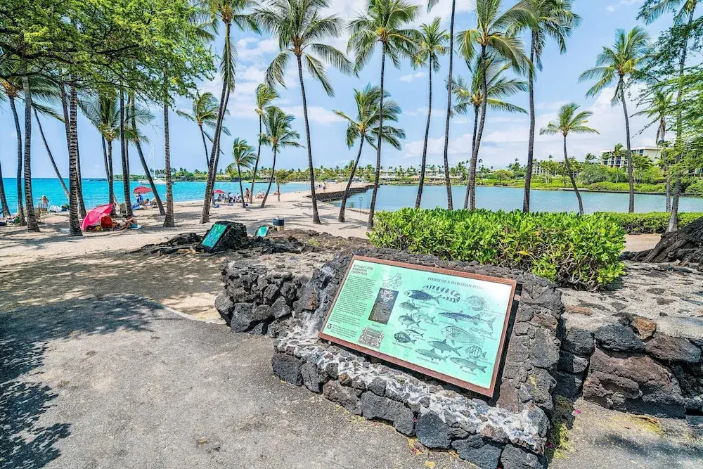 Spacious Hawaiian Unit w/ Lagoon View - AC & Wifi - Vrkcv