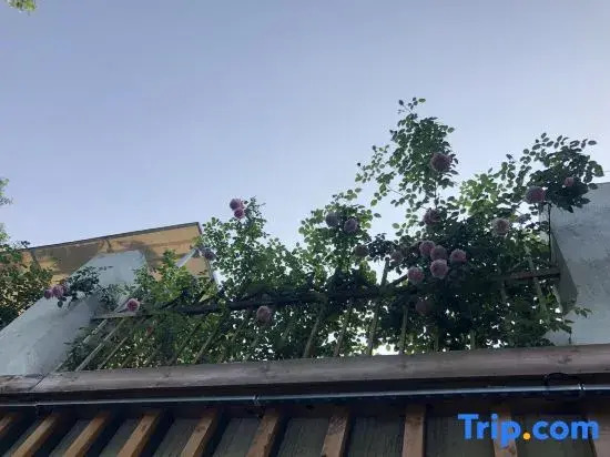 Floral Hotel · Jinan Xianyuan Blue House hotel (Black Tiger Spring Daming Lake)