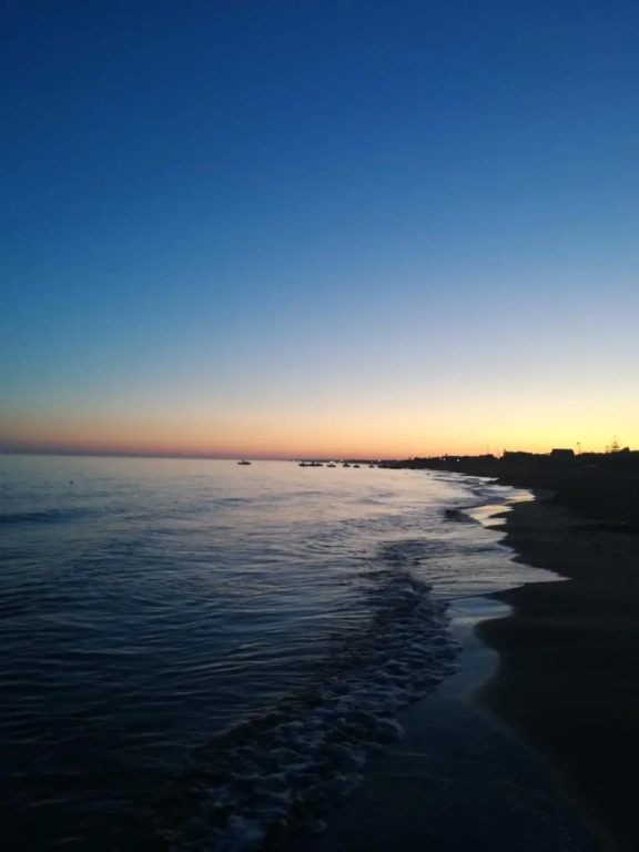 Mediterraneo