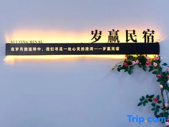 Jingdezhen Suiying Homestay (Sanbao International Pottery Village Store)
