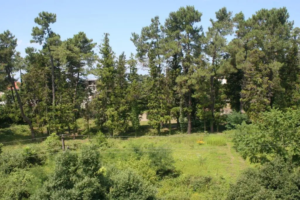 Qobuleti Beach N1