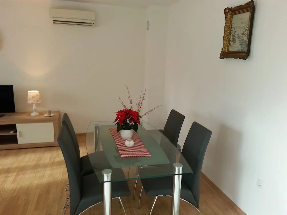 Apartment Branko