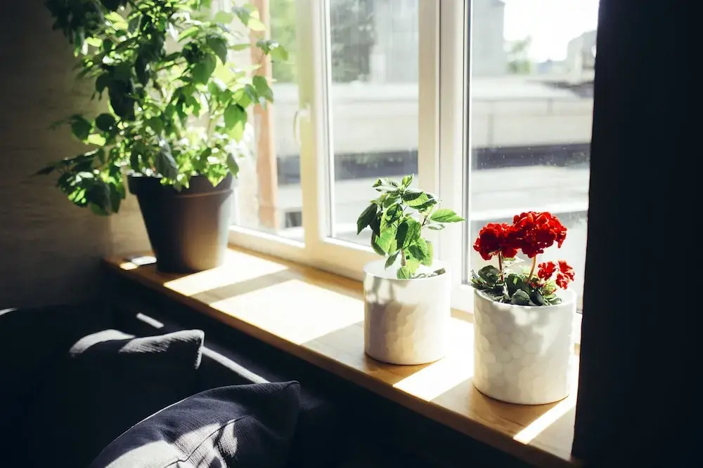 Baltic Design Apartments with free Parking and self check in