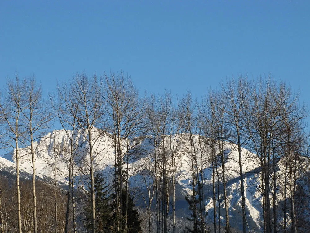 Whisper Creek Lodge