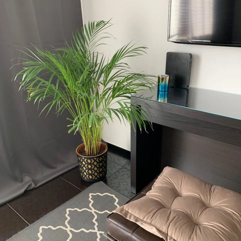 Your Home in Warsaw - Apartment Stegny- Mokotow