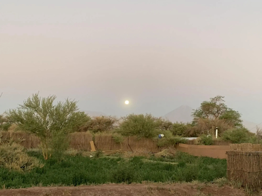 Sami Atacama