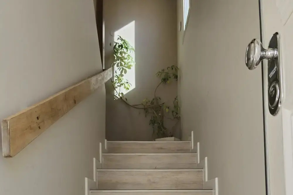 Casa Cocó