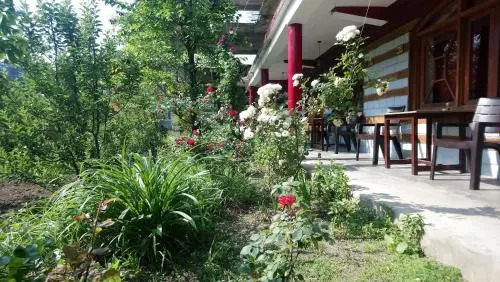 Splendour Manali