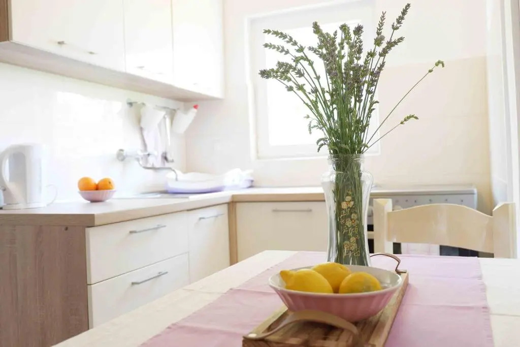 Apartment Ponoš