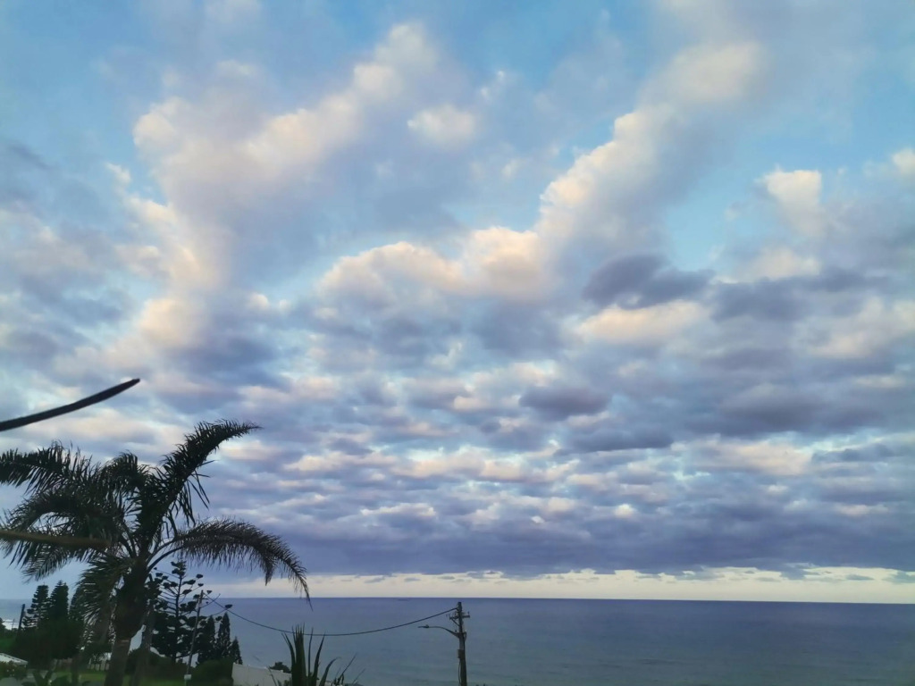 Jackies s Ocean View