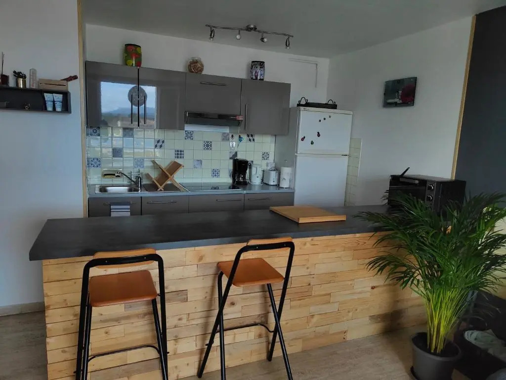 Bel appartement de 42 m2 , 1 chambre , climatisé.