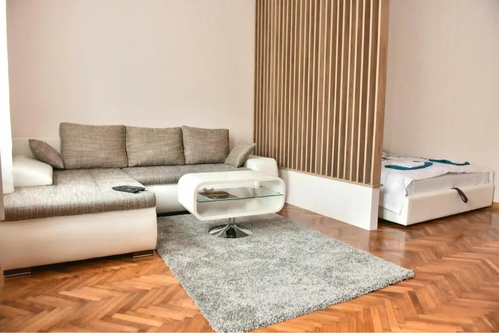 Bojan Central Apartment