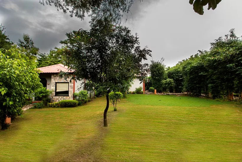 Corbett Machaan Resort