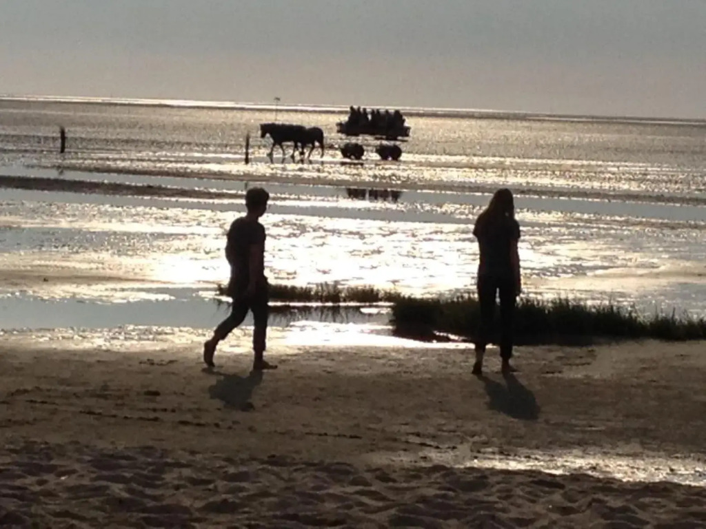 Strand & Heide