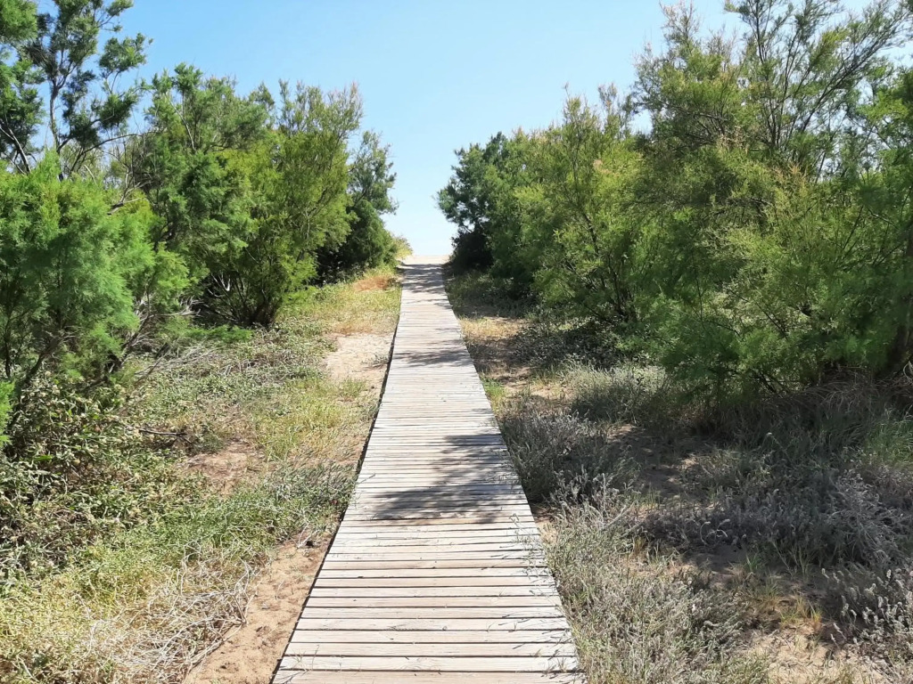 Adosadito playa Oliva