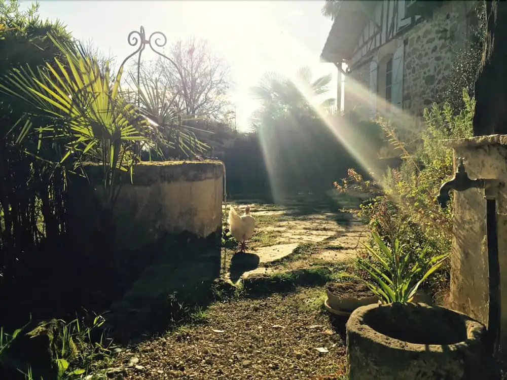 Domaine de Hongrie