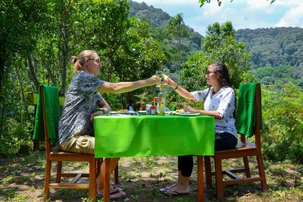 Gorilla Hills Eco-lodge