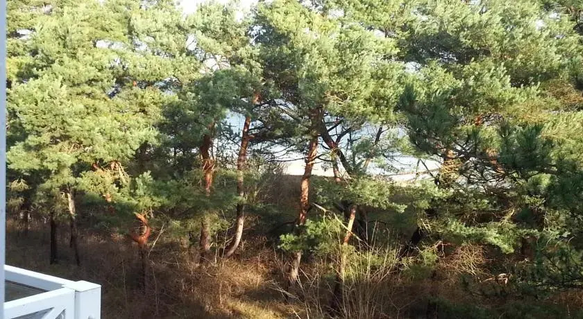 Meerblick Heringsdorf