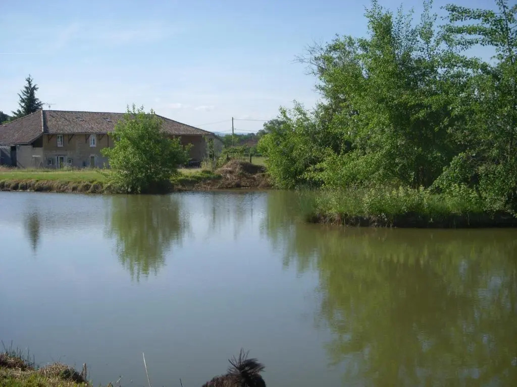 Gîtes Domaine de la Rochère