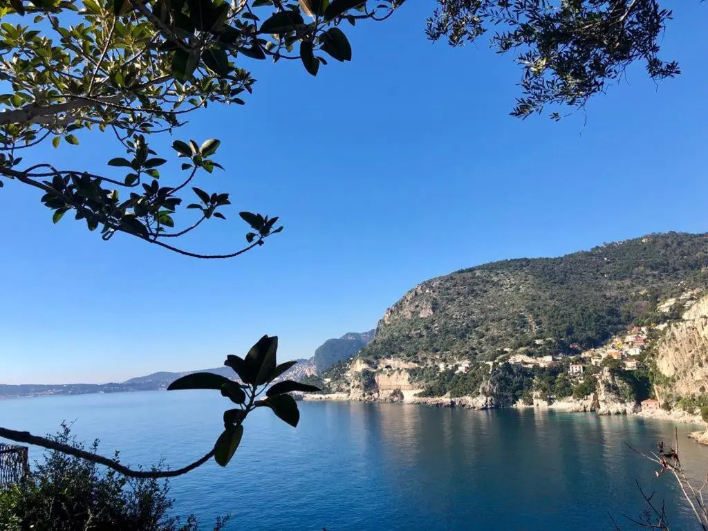 Une terrasse sur Monaco logement 2 chambre