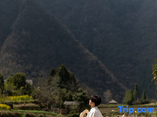 Yuezhu｜Peak Clouds & Arcadian Courtyard.Avatar Mountains ,3-min walk to the  Zhangjiajie Forest Park