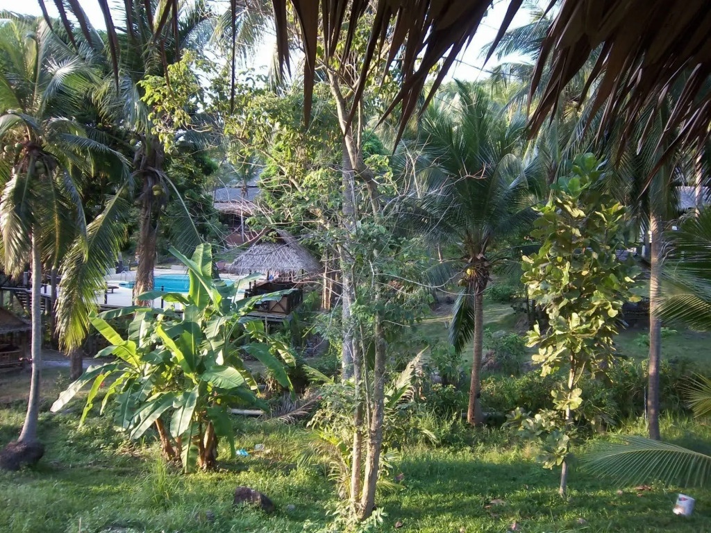 Shiralea Resort